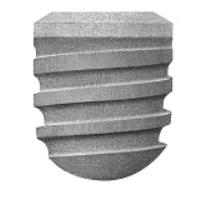 Снимок экрана 2024-11-19 200103